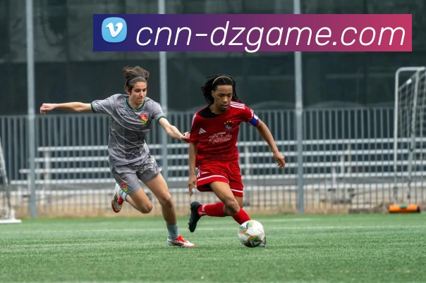 德州扑克官网平台生态图